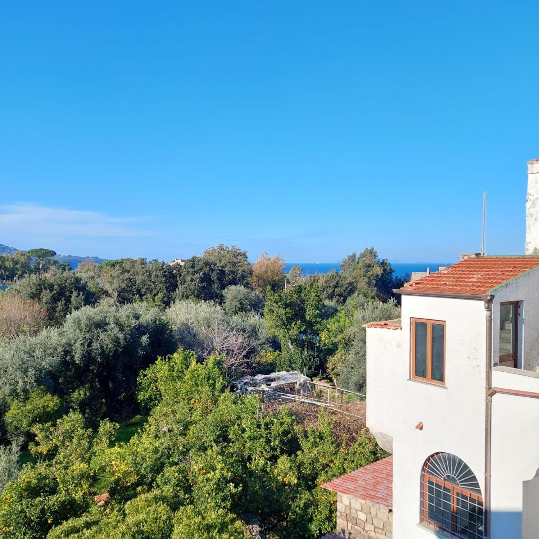 Il Giardino Dei Gigli Daire Meta Dış mekan fotoğraf