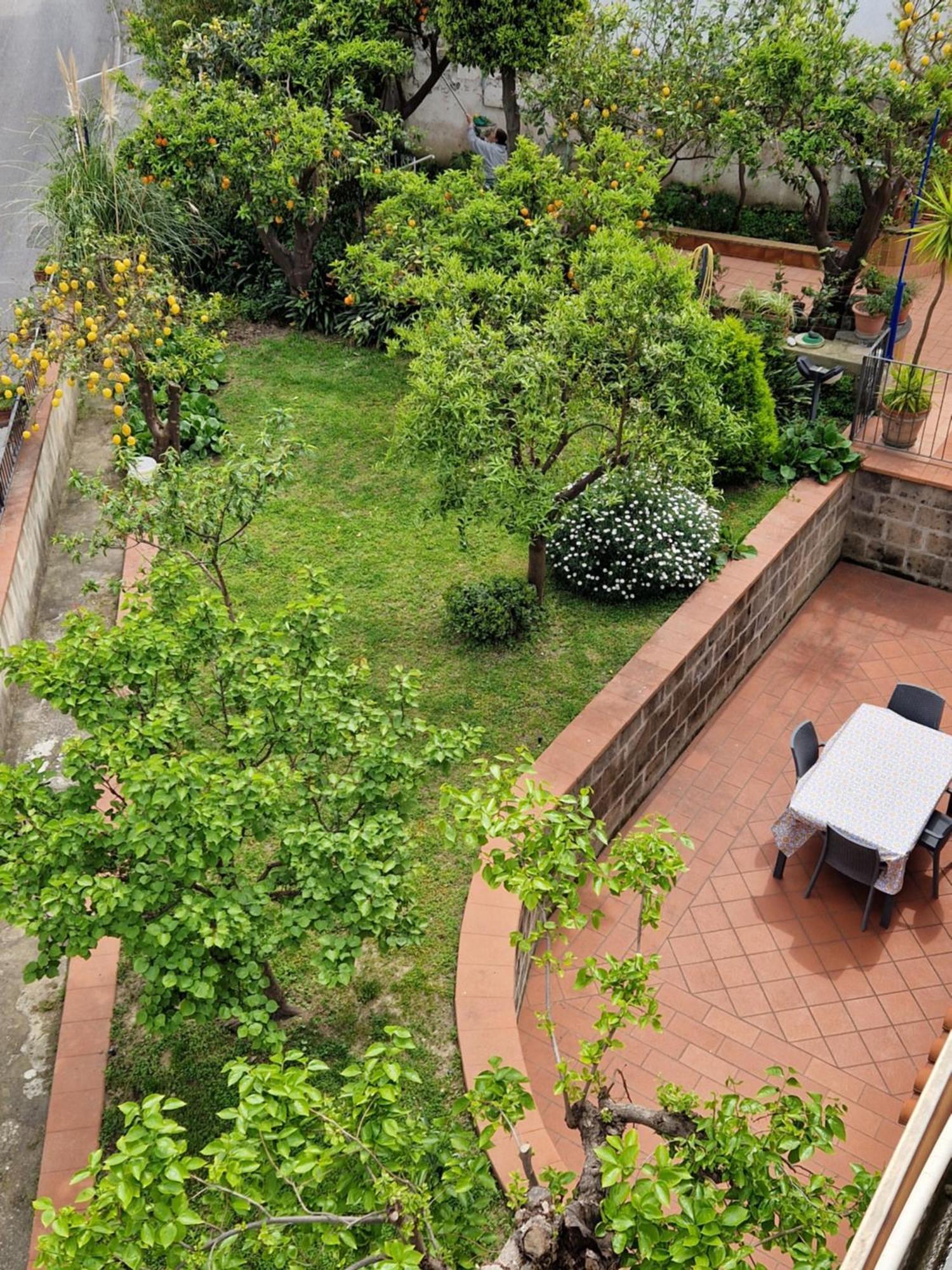 Il Giardino Dei Gigli Daire Meta Dış mekan fotoğraf