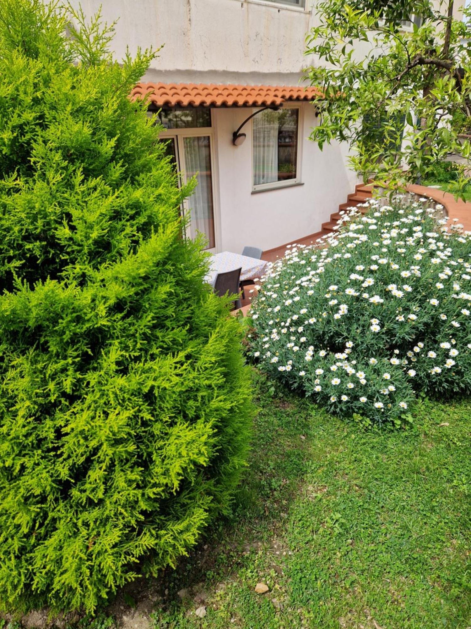 Il Giardino Dei Gigli Daire Meta Dış mekan fotoğraf