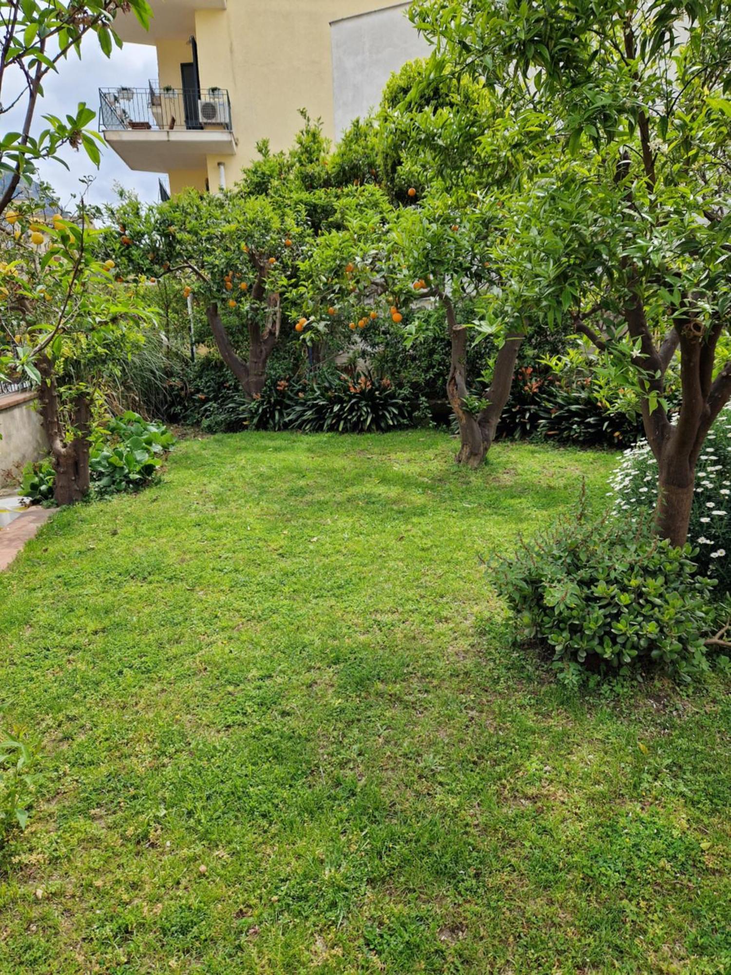 Il Giardino Dei Gigli Daire Meta Dış mekan fotoğraf
