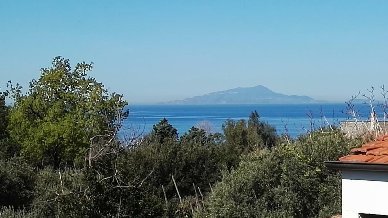 Il Giardino Dei Gigli Daire Meta Dış mekan fotoğraf